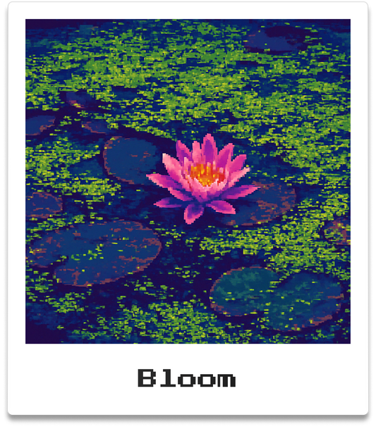 Bloom
